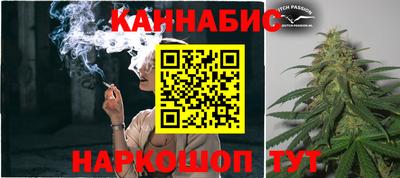 PSILOCYBIN Нальчик